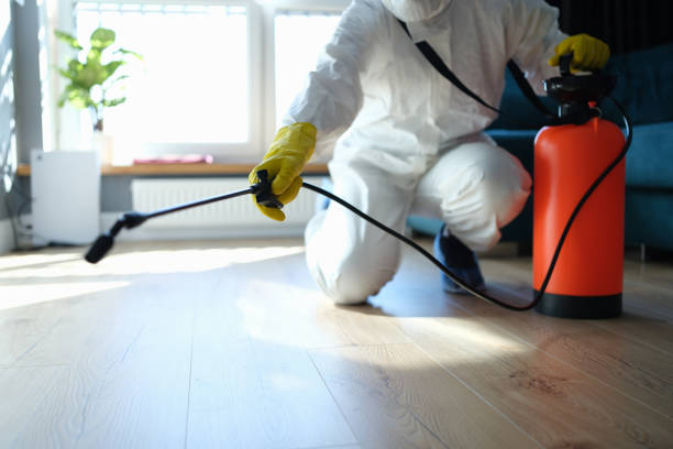 Reliable Infectious Disease Decontamination contractor in Burlington, KY by Crime Scene Cleaner Online